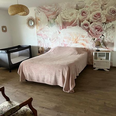 הוילה Saint-Appolinard  Chez Ghislaine מראה חיצוני תמונה